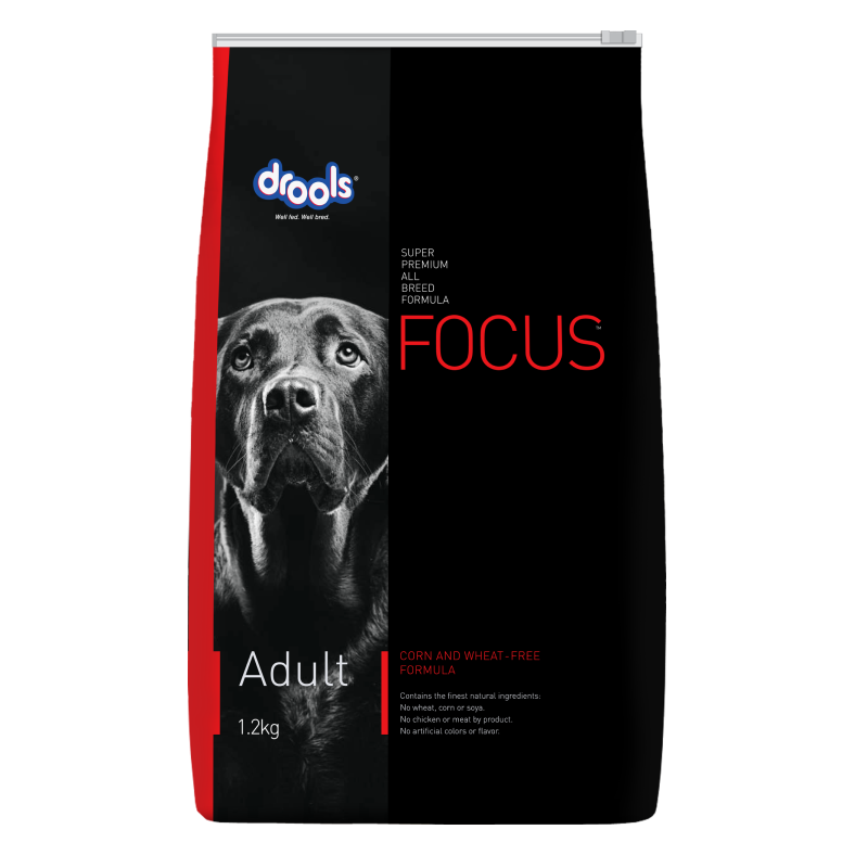 Focus Adult - 4kg