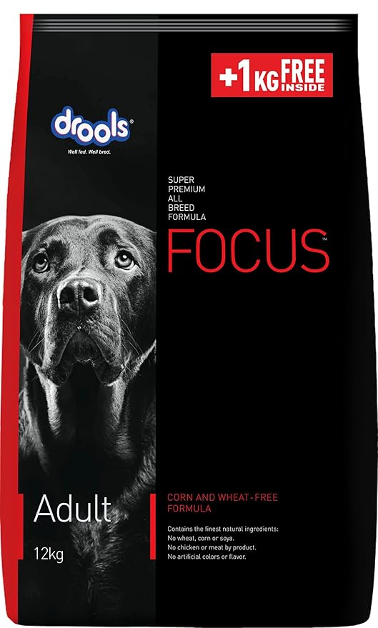 Focus Adult - 12kg