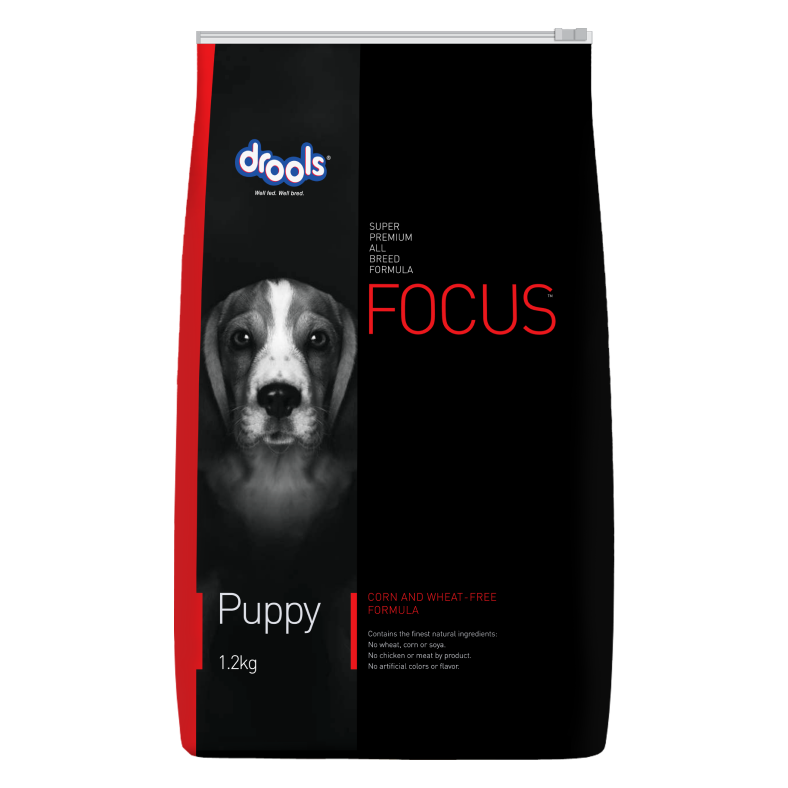 Focus Puppy - 4kg