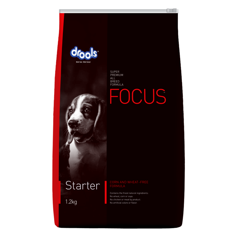 Focus Starter - 4kg